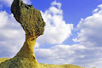 Private Charter from Taipei:Yehliu Geopark and Shifen  (8 Hours)