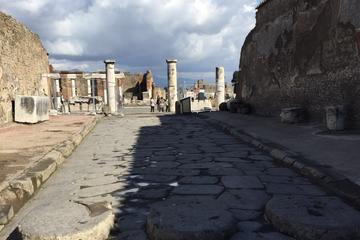 Day Tour of Pompeii Herculaneum and wine tasting