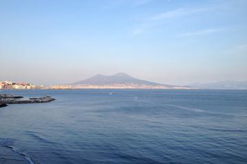 Day tour Pompeii and Naples Archeological Museum
