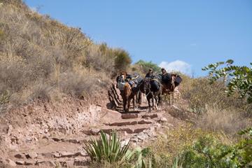 Inca Quarry Trek to Machupicchu (4 days 3 nights)