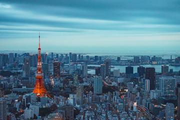 1 Day Tokyo Private Sightseeing Tour - English Speaking Driver