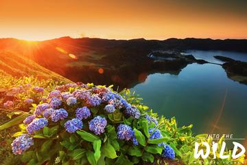 Guided Tours Sete Cidades and Lagoa do Fogo Full day