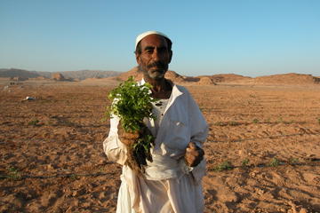 Egyptian Farming Full-Day Experience from Sharm el Sheikh
