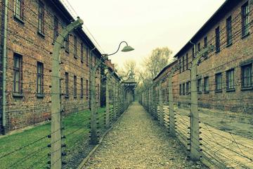 Auschwitz - Birkenau: Complete Private Tour