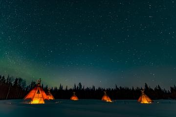 Northern Lights and wildlife in Swedish Lapland