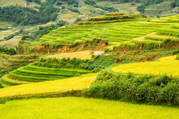 2-Night Sapa Tribal Villages Tour from Hanoi