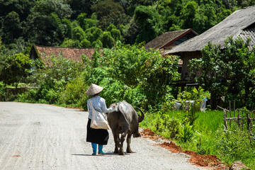 3-day Dien Bien Phu - The Historic Battlefield from Ha Noi