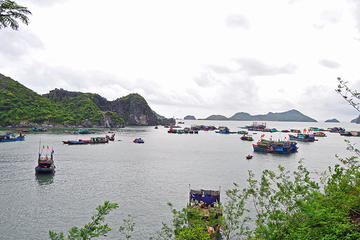 3-Day Halong Bay and Cat Ba Island Tour from Hanoi
