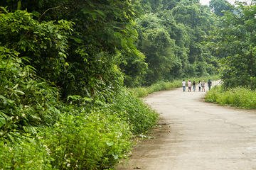 Day Trip to Cuc Phuong National Park from Hanoi