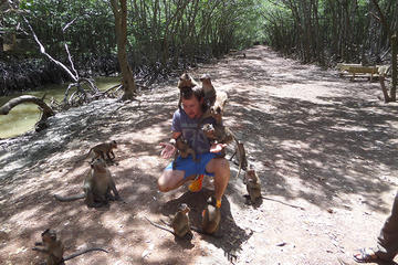 Full-Day Can Gio Biosphere Reserve and Monkey Island tour from Ho Chi Minh City