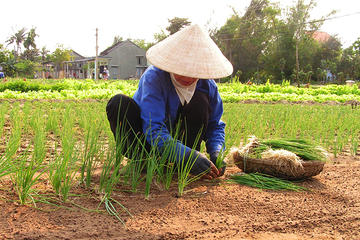 Full Day: Local Villages and Crafts Tour from Hoi An