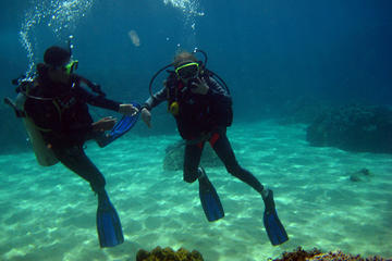 Full-day Scuba Diving at Cham Island from Hoi An