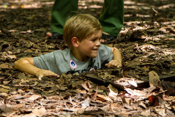 Half Day Cu Chi Tunnels Tour from Ho Chi Minh
