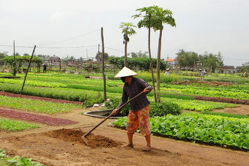 Half-Day Farming Experience from Hoi An