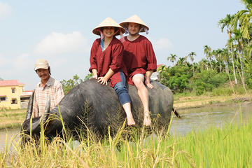 Half-Day Rice Paddy Experience from Hoi An