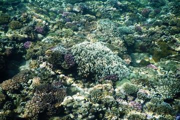 Scuba Diving - In The South Phu Quoc