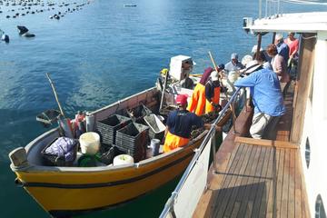 A traditional food experience in La Spezia: from the mussels-farm to the table