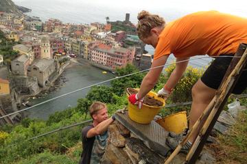 Voluntourism in the Cinque Terre