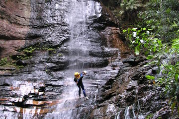 Spectacular Blue Mountains Empress Canyon and Abseiling Experience