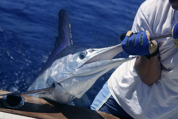 Deep Sea Fishing