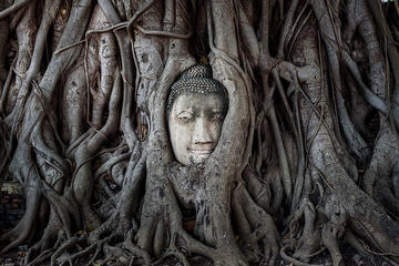 Ayutthaya Temples and Chao Phraya River Cruise back to Bangkok with Lunch