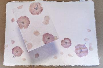 Cherry Blossom Papermaking in Osaka - only in Spring!
