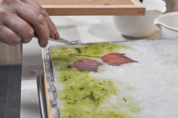 Make Matcha Green Tea Washi Paper - the only place in Japan!