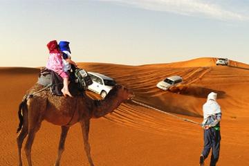 Dubai Evening Desert Safari Tour with Hotel Transfer, Camel Ride & BBQ Dinner