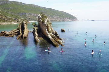 Stand Up Paddle Tour