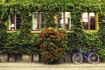 Visite privée : visite en vélo de la...