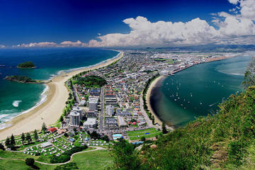 Explore Tauranga