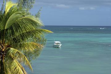 Mauritius Speedboat Cruise from Pointe Jerome