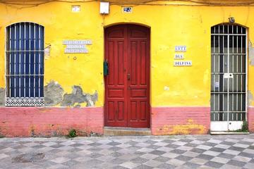 PRIVATE TOUR OF SANTA CRUZ AND TICKET & SHOW AT MUSEO DEL BAILE FLAMENCO