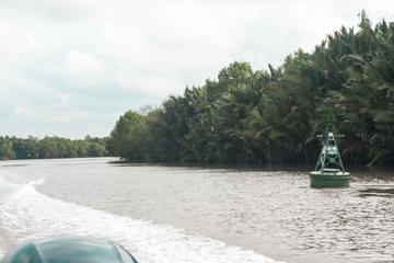 Can Gio Mangrove Forest by Speedboat