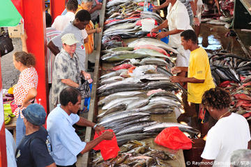 FULL DAY DISCOVERY TOUR OF MAHE ISLAND