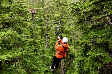 Douglas Island Zipline Tour from Juneau
