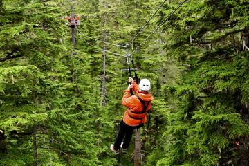 Juneau Shore Excursion: Douglas Island Zipline Tour from Juneau