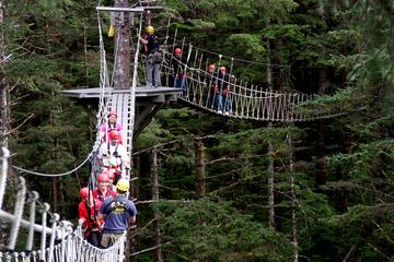 Ketchikan Shore Excursion: Rainforest Canopy and Zipline Adventure
