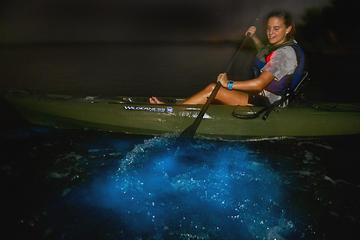 The Top 5 Cocoa Beach Water Sports W Prices Dinoflagellate Bioluminescence Kayak Tour