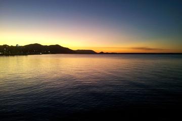 Cairns by Night Walking Tour including Cairns Wildlife Dome and Cairns Night Markets