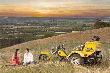 Barossa Uncut Trike Tour For 2