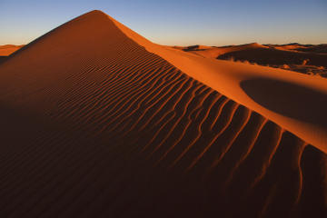 Red Dune Bashing in Dubai Including Desert Camp Experience with BBQ Dinner