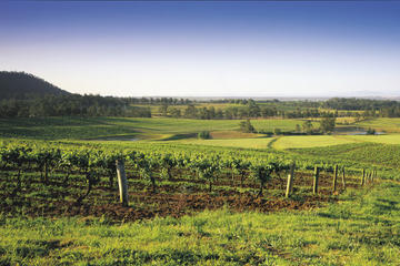 Hunter Valley Food and Wine Tasting Day Tour from Sydney