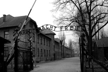 From Kraków: Auschwitz-Birkenau Museum Group Tour