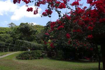 Parque das Trilhas Admission Ticket