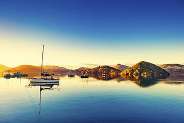 Dunedin Shore Excursion: Small-Group Tour of Dunedin