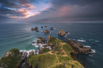 Private Tour: Dunedin to the Catlins