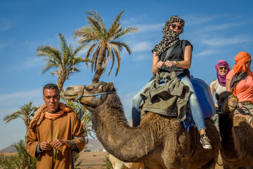 Desert and Palm Grove Camel Ride from Marrakech Including Moroccan Tea and Snack