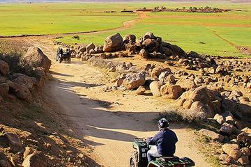 Marrakech Desert and Palm Grove Quad Bike Tour