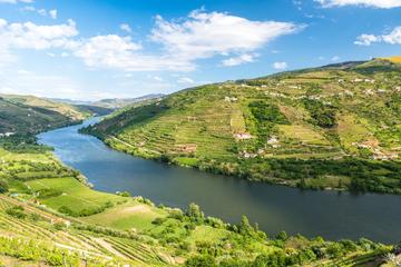 Douro Vinhateiro